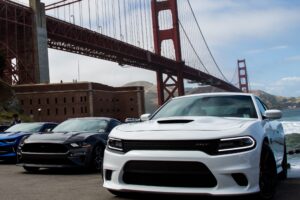 Основные требования к страхованию авто в разных Штатах Америки