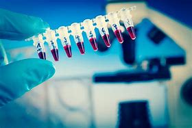 анализ крови